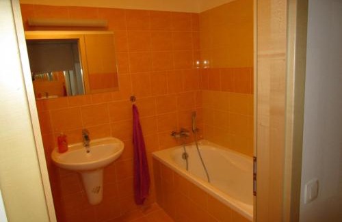 Ricky v Orlickych horach Apartamento | Apartmán Říčky v Orlických Horách