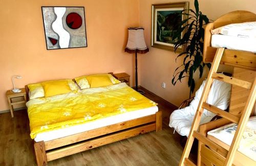 Olomouc Apartamento | Apartmán Flora