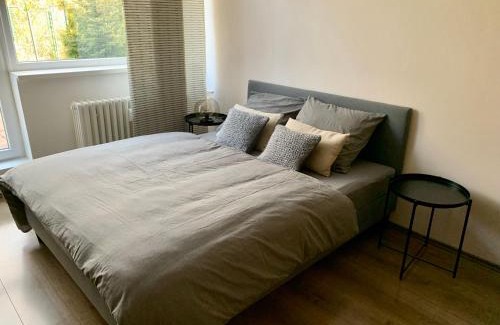 Luhacovice Apartamento | Apartmán Luhačovice