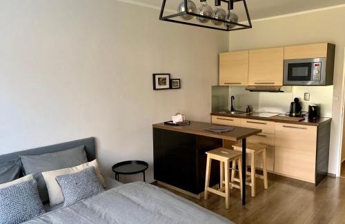 Luhacovice Apartamento | Apartmán Luhačovice