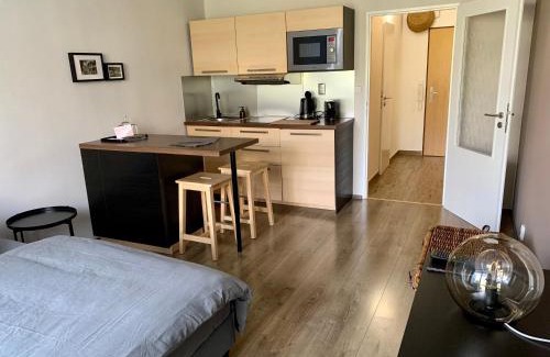 Luhacovice Apartamento | Apartmán Luhačovice