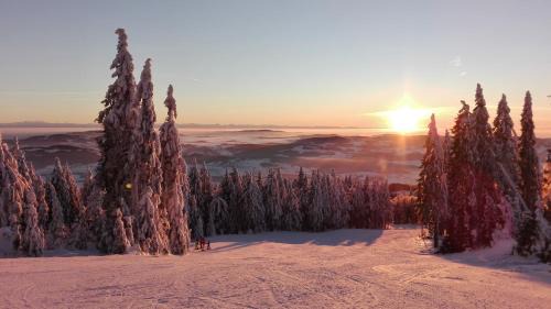 Nove Chalupy Apartamento | Apartmán PECKA - Nová Pec