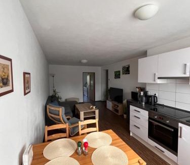 Chodova Plana Apartamento | Apartmán Sadová 430