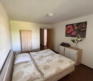 Chodova Plana Apartamento | Apartmán Sadová 430