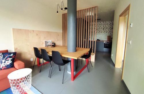 Ricky v Orlickych horach Apartamento | Apartmán SVAN B2