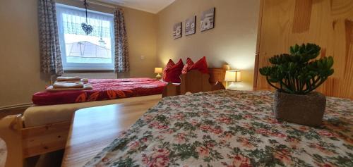 Zdiar Casa | Apartmán u Babičky Ždiar