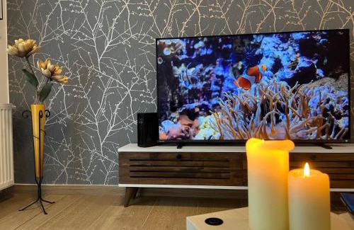 Olomouc Apartamento | Apartmán U Pelikána