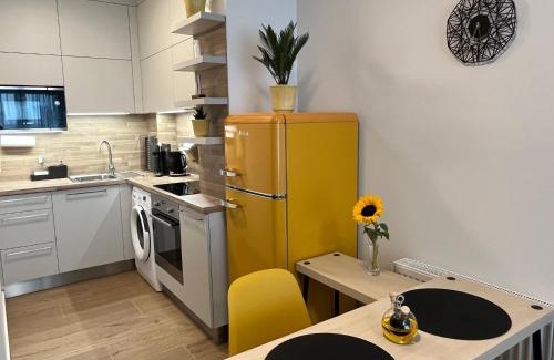 Olomouc Apartamento | Apartmán U Pelikána