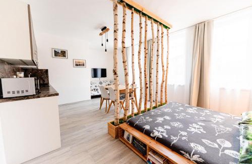 Zelezna Ruda Apartamento | Apartmán v centru Železné Rudy se zahrádkou