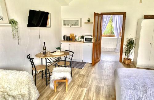 Libceves Apartamento | Apartmán v koňském areálu Židovice