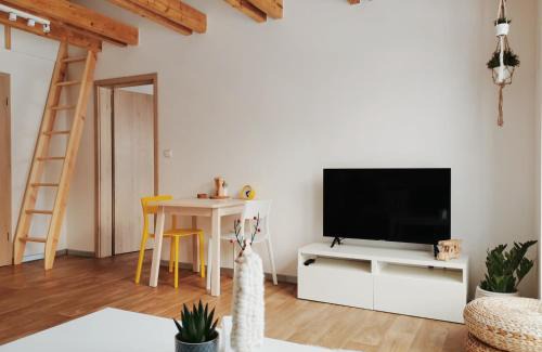 Ricky v Orlickych horach Apartamento | Apartmán v podkroví