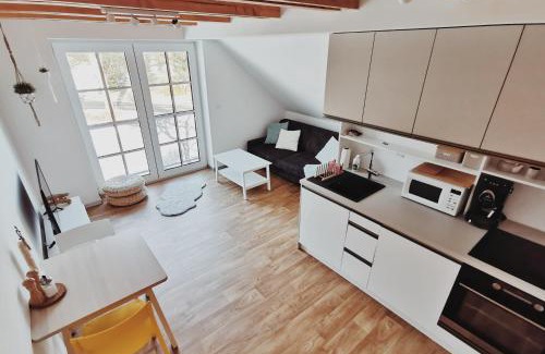 Ricky v Orlickych horach Apartamento | Apartmán v podkroví