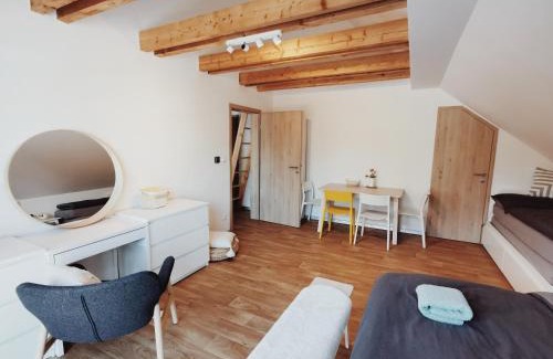 Ricky v Orlickych horach Apartamento | Apartmán v podkroví