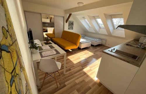 Brno Apartamento | Apartmány Skryjova