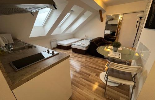 Brno Apartamento | Apartmány Skryjova