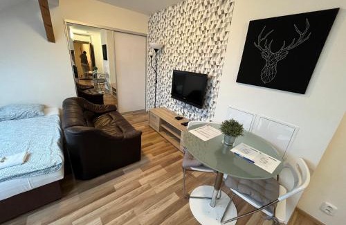 Brno Apartamento | Apartmány Skryjova
