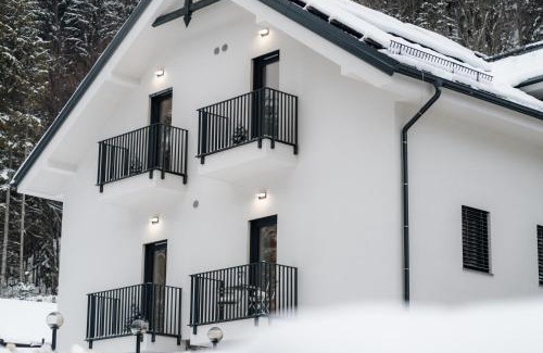 Pohorje Apartamento | Apartmaji Vouk - sodobni apartmaji v objemu narave - Lukanja - Rogla - Primerno za pare in družine - Sprostitev in aktivno preživljanje prostega časa
