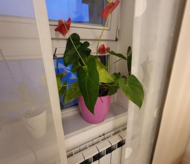 Zagreb Apartamento | Apartman Jarun lake lux