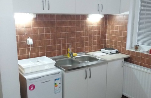 Kopaonik Apartamento | Apartman Pavle, Brzece