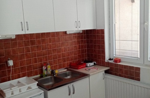 Kopaonik Apartamento | Apartman Pavle, Brzece