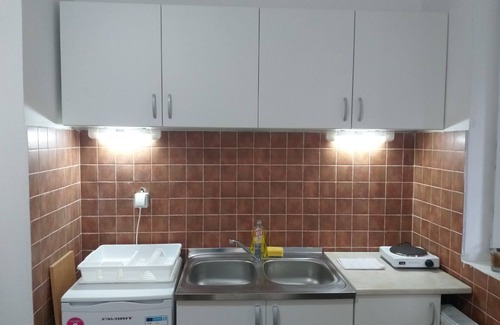 Kopaonik Apartamento | Apartman Pavle, Brzece