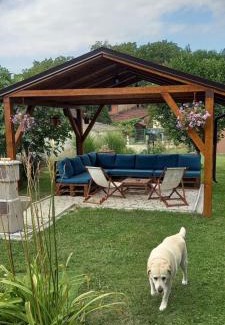 Vrdnik Apartamento | Apartman Stilin Vrdnik