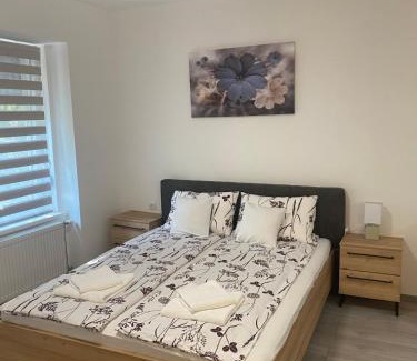 Vrsac Apartamento | Apartmani Srce Vršca