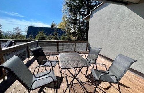 Ricky v Orlickych horach Apartamento | Apartment Říčky v Orlických horách C21 by Interhome