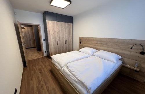 Ricky v Orlickych horach Apartamento | Apartment Říčky v Orlických horách C21 by Interhome