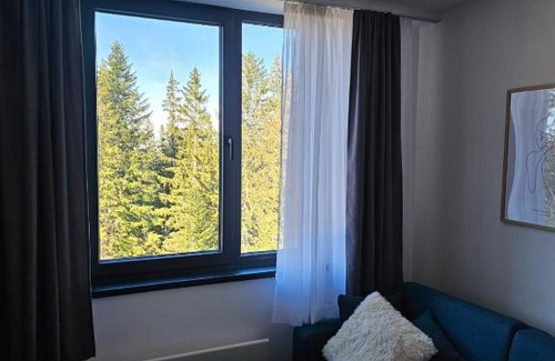 Jahorina Apartamento | Apartment 308 in aparthotel Zlatni Javor - private host