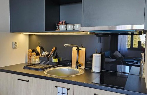 Jahorina Apartamento | Apartment 308 in aparthotel Zlatni Javor - private host