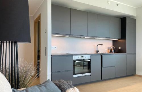 Kristiine Apartamento | Apartment 58 Tallinn