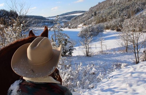 Bad Mergentheim Apartamento | Apartment (80sqm) with a combined living/sleeping area and free WiFi