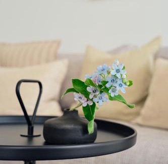 Zirchow Apartamento | Apartment A 3 "Pine Hill Resort"