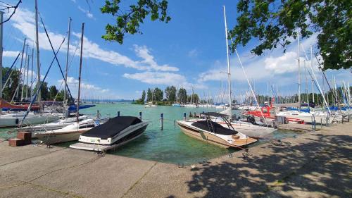 Balatonfoldvar Apartamento | Apartment Balatonföldvar - Balaton 18521