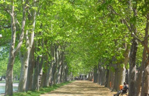 Balatonfoldvar Apartamento | Apartment Balatonföldvar - Balaton 18519