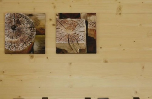 Tenna Apartamento | Apartamento Ferienwohnung BioBuchli en Tenna - 4 personas, 2 dormitorios