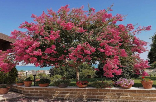 Tortoreto Apartamento | Apartamento en Villa vista al mar: aire acondicionado, balcón, fresco, protegido.