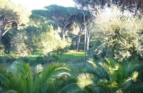 Gassin Apartamento | Apartamento - Gassin