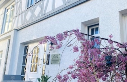 Hoehr-Grenzhausen Apartamento | Apartment Rose with 35 sqm - in the Château d'Esprit