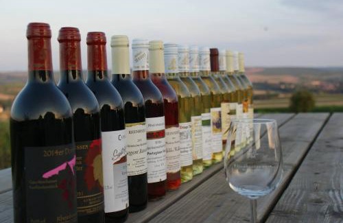 Gau-Weinheim Apartamento | Apartment Terrasse