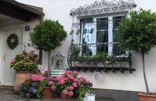 Altmuenster Apartamento | Apartment with balcony and lake view