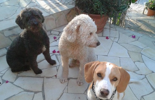 Marbella Apartamento | Apartamento con fantásticas vistas al Mediterráneo y Marbella con piscina.