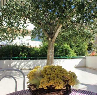 Ratac Apartamento | Apartments Pino