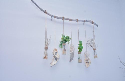 Vanathavilluwa Complejo | Ape Kele Resort