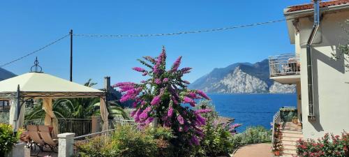 Malcesine Apartamento | Appartamenti Villa Eden