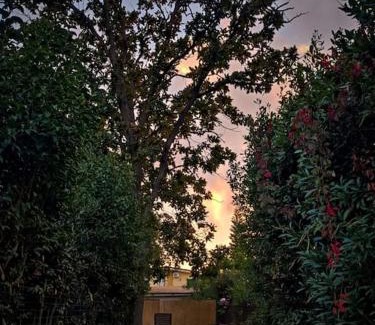 Anzio Apartamento | Appartamento con giardino