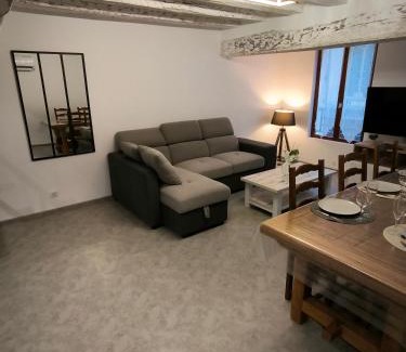 Selles-sur-Cher Apartamento | Appartement 6-8 personnes, gîte, climatisé, classé 3 étoiles, proche du zoo de Beauval et des châteaux de la Loire