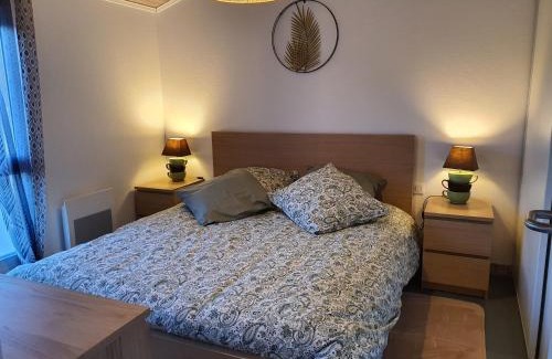 Casteljaloux Apartamento | Appartement cosy et climatisé pour 1 à 4 personnes 150m place Gambetta