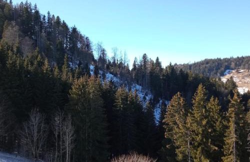 Hirmentaz Apartamento | Appartement dernier étage au pied des pistes HIRMENTAZ